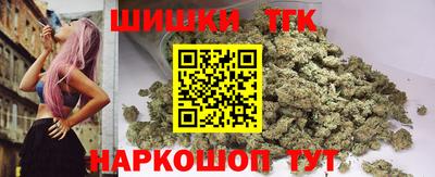 крисы Моздок