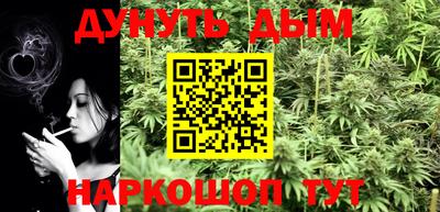 крисы Моздок