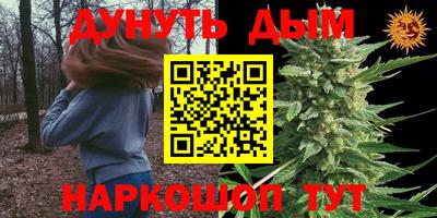 крисы Моздок