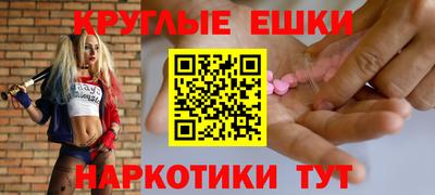 крисы Моздок