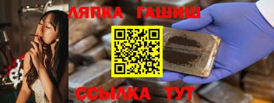 крисы Моздок