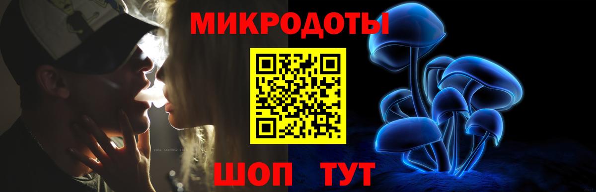 Псилоцибиновые грибы Psilocybe Горячий Ключ